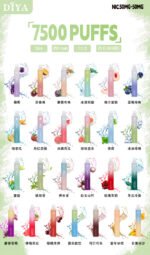 DIYA叮啞7500口一次性電子煙