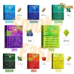 MEVIUS/CAMEL七星加熱菸彈